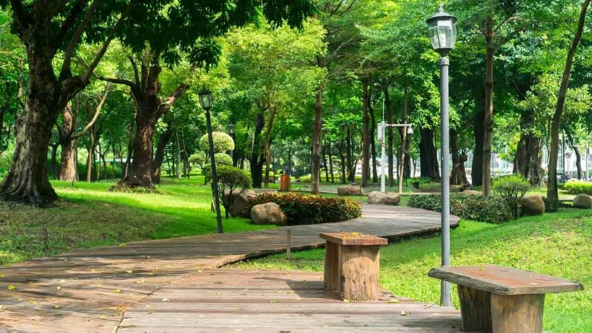 A large park offering green spaces